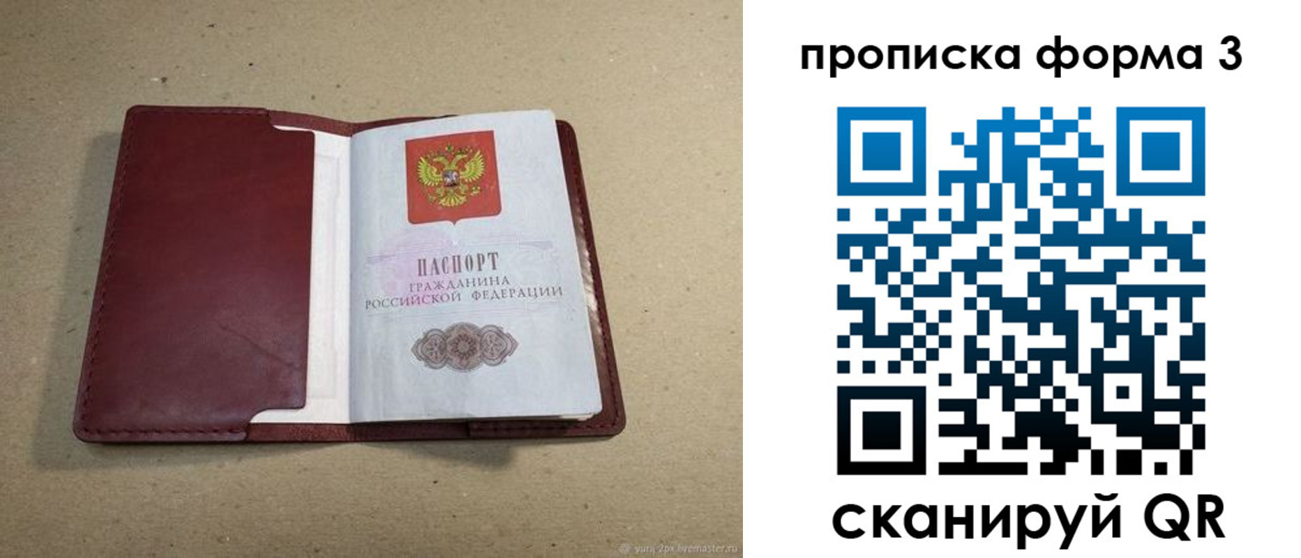 временная регистрация законно в Курской области