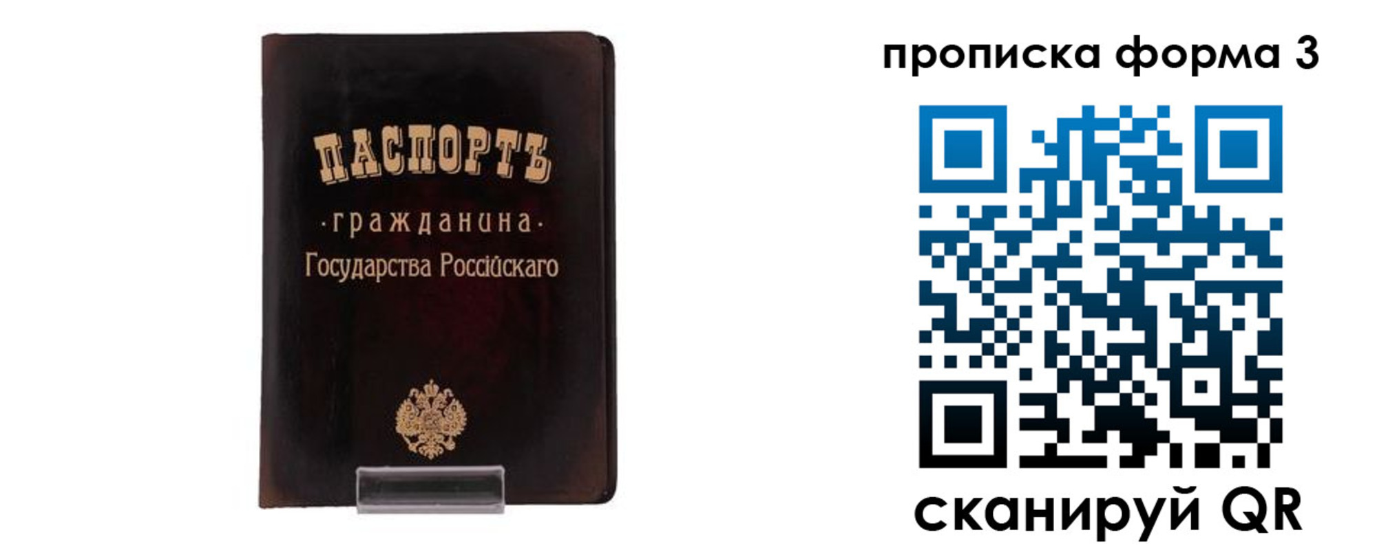 временная регистрация гарантия в Курской области