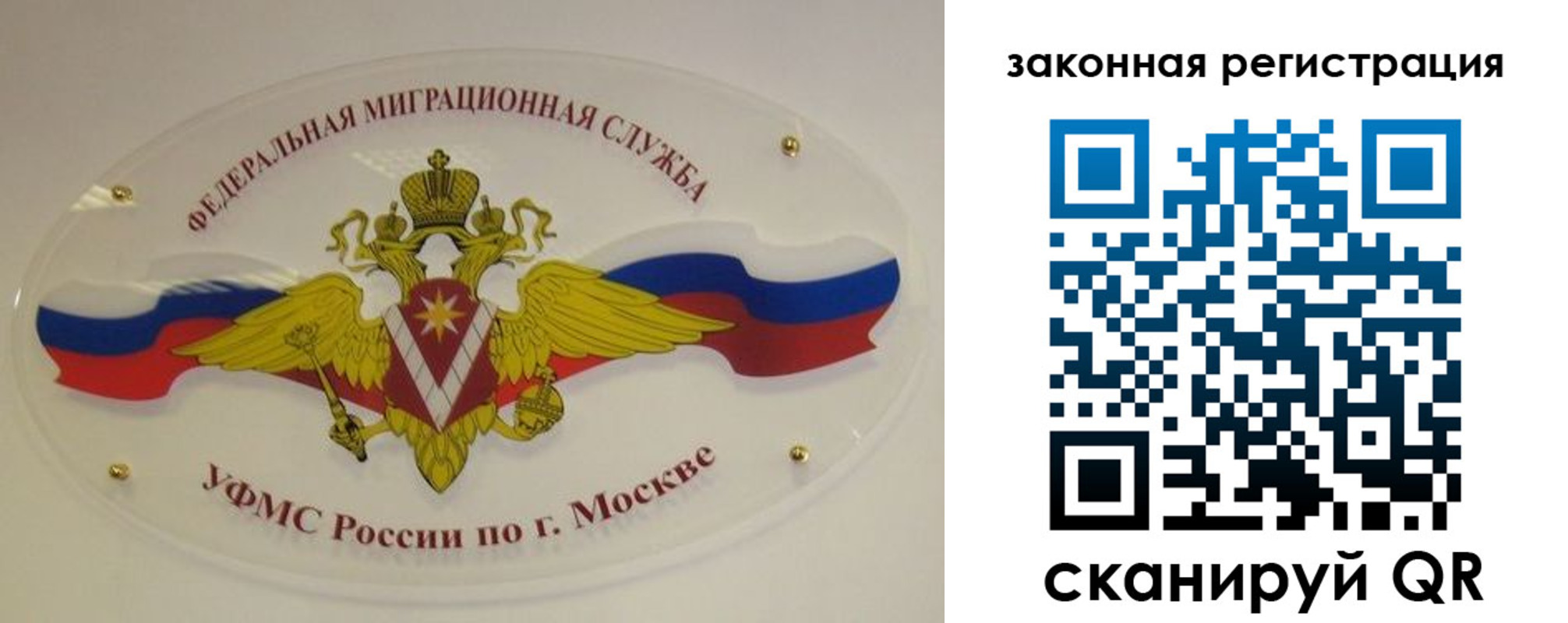 где прописаться в Курской области