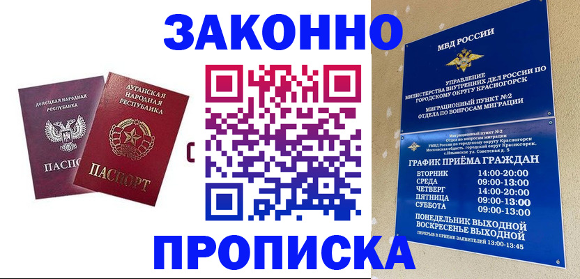 прописка в Курской области